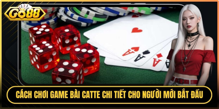 Cách Chơi Game Bài Catte Chi Tiết Cho Người Mới Bắt Đầu